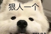 武汉动真格了！以不栓狗绳，狗主赔8万的惊人案例（养狗人士必看，武汉动真格了的警示）