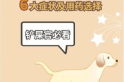 狗狗怀孕咳嗽该如何处理？（了解适用药物和注意事项，守护母犬健康。）