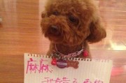 如何判断狗狗的需求？（探寻狗狗内心世界的表达方式）