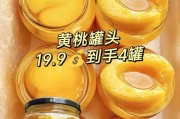 挑选便宜罐头的绝佳选择（比较价格和质量，选出最实惠的罐头）