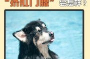 狗的肛门腺问题解析（了解狗的肛门腺功能及可能出现的问题）
