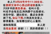 狗狗断尾的方式有哪些？（狗主人必看，保护狗狗健康的断尾方法详解）