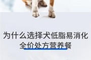 预防幼犬低血糖的重要性（幼犬低血糖的危害及预防措施）