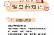猫咪驱虫时间表及喂食指南（猫咪驱虫多久一次？如何正确喂食驱虫药？）