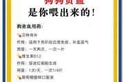 狗缺血的症状及其（了解狗缺血的常见症状和预防方法）