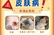 猫耳螨消毒的方法及注意事项（选择合适的消毒剂保护宠物健康）