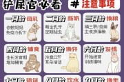 琉球兔的饲养方法（如何科学养护琉球兔，让它们健康快乐生活）