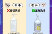 成为优秀的铲屎官，让猫咪越养越干净（打造干净整洁的猫咪生活环境，让猫咪健康快乐）