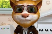聪明的猫揭示的生活智慧（聪明的猫教会我们如何生活得更智慧）