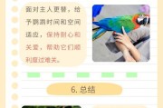 鹦鹉爱咬人的原因及解决方法（探究鹦鹉爱咬人的心理背后的原因，以及如何解决这个问题）