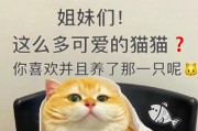 如何养好一只可爱的萌猫？（掌握这些方法，让你的猫咪健康快乐）