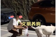 杜高犬的饲养指南（专家教你如何养好杜高犬）