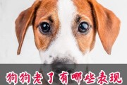 了解狗狗产前阵痛的症状（详解狗狗产前阵痛的迹象与行为表现）