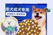 如何呵护狗狗的肠胃（宠爱你的毛孩，从健康肠胃开始）