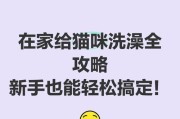正确给猫咪洗澡的步骤（轻松愉快地在家为猫咪洗澡的方法）