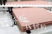 猫的加工作用（猫为我们带来的意想不到的好处）