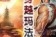 以伟嘉湿粮的喂养频率及（多久能吃一次？以伟嘉湿粮的喂养时间规划和注意事项）
