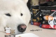 如何照顾刚到家的幼犬小狗？（零食骨头是否适合幼犬小狗？）