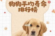 影响泰迪犬价格的因素（探究泰迪犬市场价格的相关因素及其影响）