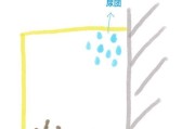 猫砂的选择与使用方法（为什么猫会去猫砂、选择适合的猫砂是关键）