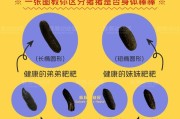 了解荷兰猪的常见疾病，保证荷兰猪寿命因素（诊治荷兰猪常见疾病，提高其寿命的关键因素）