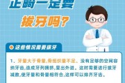 泰迪犬为什么会掉牙？（探究泰迪犬掉牙的原因及预防方法）