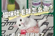 猫咪经常舔毛如何吐毛？（宠物猫的毛发管理与呕吐毛球的预防）