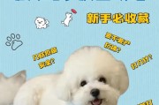 幼犬疫苗接种指南（了解幼犬疫苗接种时间及注意事项，确保宠物健康成长）