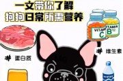 幼犬喂养攻略（科学饲养，健康成长）