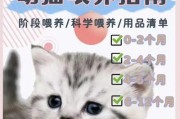 幼猫免疫缺陷期的出现时间及重要性（探究幼猫免疫缺陷期的关键时间节点和影响）