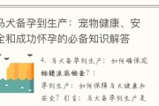 马犬怀孕前的饮食搭配与管理（为您的马犬做好孕前准备）