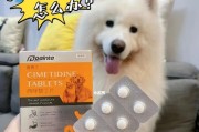 如何帮助狗狗缓解便秘问题？（药物治疗是有效的方法吗？）