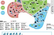 黑熊仓鼠饲养全指南（如何养护健康黑熊仓鼠）