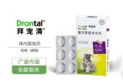 两个月泰迪驱虫，你需要知道的重要事项（选择合适的驱虫产品，确保宠物健康）