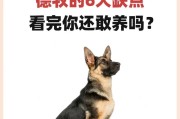 以德牧一个动作训练多久才合适？（训练时间的重要性及影响因素分析）