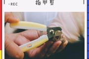 牛头梗指甲护理全攻略（宠物爱犬的指甲护理秘籍，教您如何保持宠物的健康与美丽）