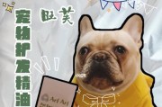 狗吃橄榄油的好处（橄榄油对狗的营养价值和健康影响）
