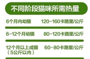 新生幼猫的死亡阶段与体重范围（了解幼猫生命的重要阶段及体重指标）