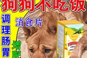为什么狗狗不肯吃饭？（探究狗狗食欲不振的原因与解决方法）