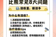 如何解决4个月的比熊不爱吃饭问题（针对比熊的食欲不振，提供解决方案和建议）