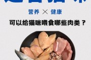 猫咪禁食清单（了解这些食物，让你的猫咪远离健康危机！）