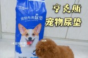 解决狗狗尿漏问题的药物治疗方案（药物治疗狗狗尿漏的有效方法与注意事项）