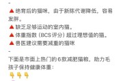 减肥猫粮的副作用及注意事项（减肥猫粮引发的健康问题及饮食要求）