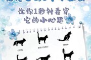 揭秘猫咪的12个小秘密（从性格到行为，你所不知道的猫咪世界）