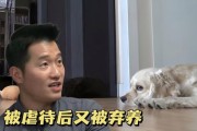 揭秘高弃养率犬种的缺点（了解这四个犬种的缺点，为你的选择做出明智决策）