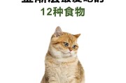 小猫咪的饮食禁忌及应对措施（宠物猫咪饲养的重要知识点及食物安全）