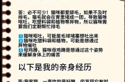 猫咪的排毛秘籍（揭秘猫咪如何保持整洁乌黑的毛发）