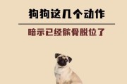 狗狗的求救信号（揭秘狗狗眼中的求救信号，了解你的宠物更多一点）