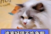 《猫吃了鱼》（揭示猫咪性格和食物偏好的故事）