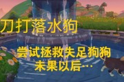初配犬的恢复期及血液回复情况（初配犬的血液回血情况及影响因素分析）